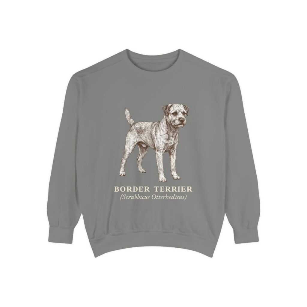 Border Terrier Latin Sweatshirt, Grey, front view