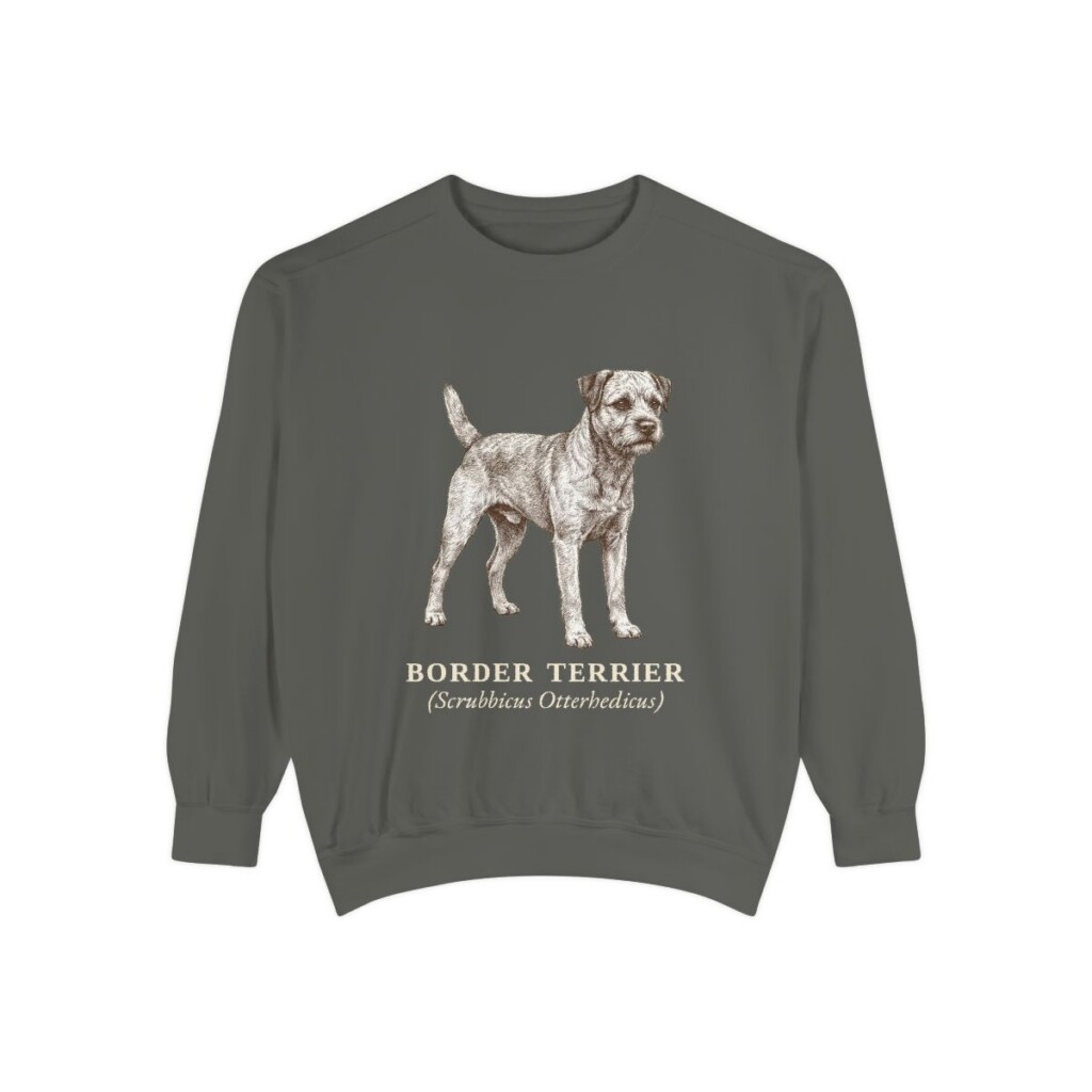 Border Terrier Latin Sweatshirt, Pepper, front view