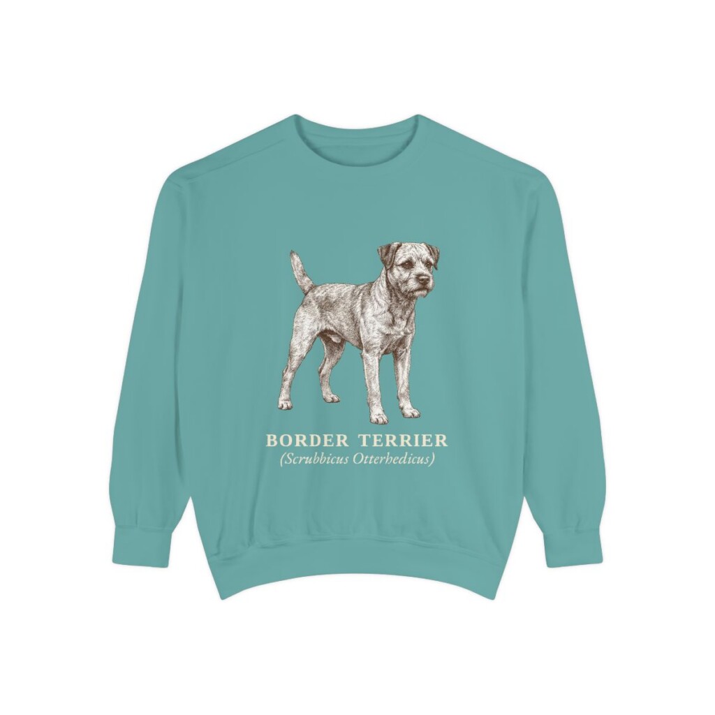 Border Terrier Latin Sweatshirt, Seafoam, front view