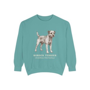 border-terrier-sweatshirt-latin-seafoam Border Terrier Latin Sweatshirt, Seafoam, front view