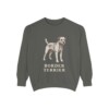 Border Terrier Sweatshirt, Pepper, front view