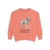 Border Terrier Sweatshirt, Terracotta, front view