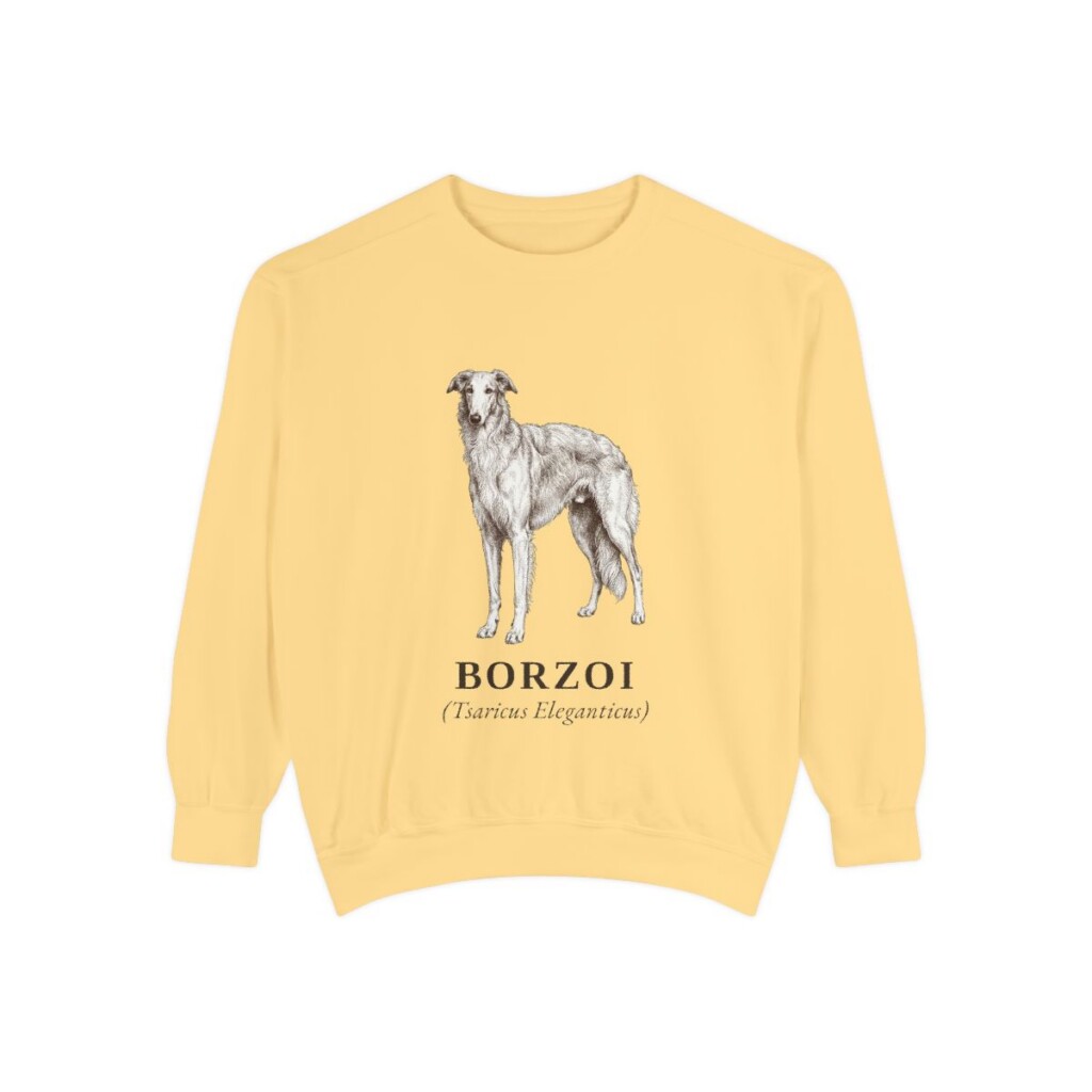 borzoi-sweatshirt-latin-butter Borzoi Latin Sweatshirt, Butter, front view