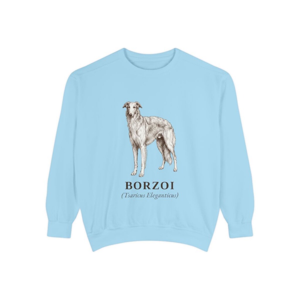 borzoi-sweatshirt-latin-chambray Borzoi Latin Sweatshirt, Chambray, front view