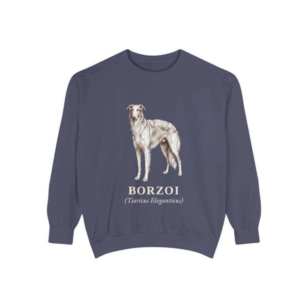 borzoi-sweatshirt-latin-denim Borzoi Latin Sweatshirt, Denim, front view