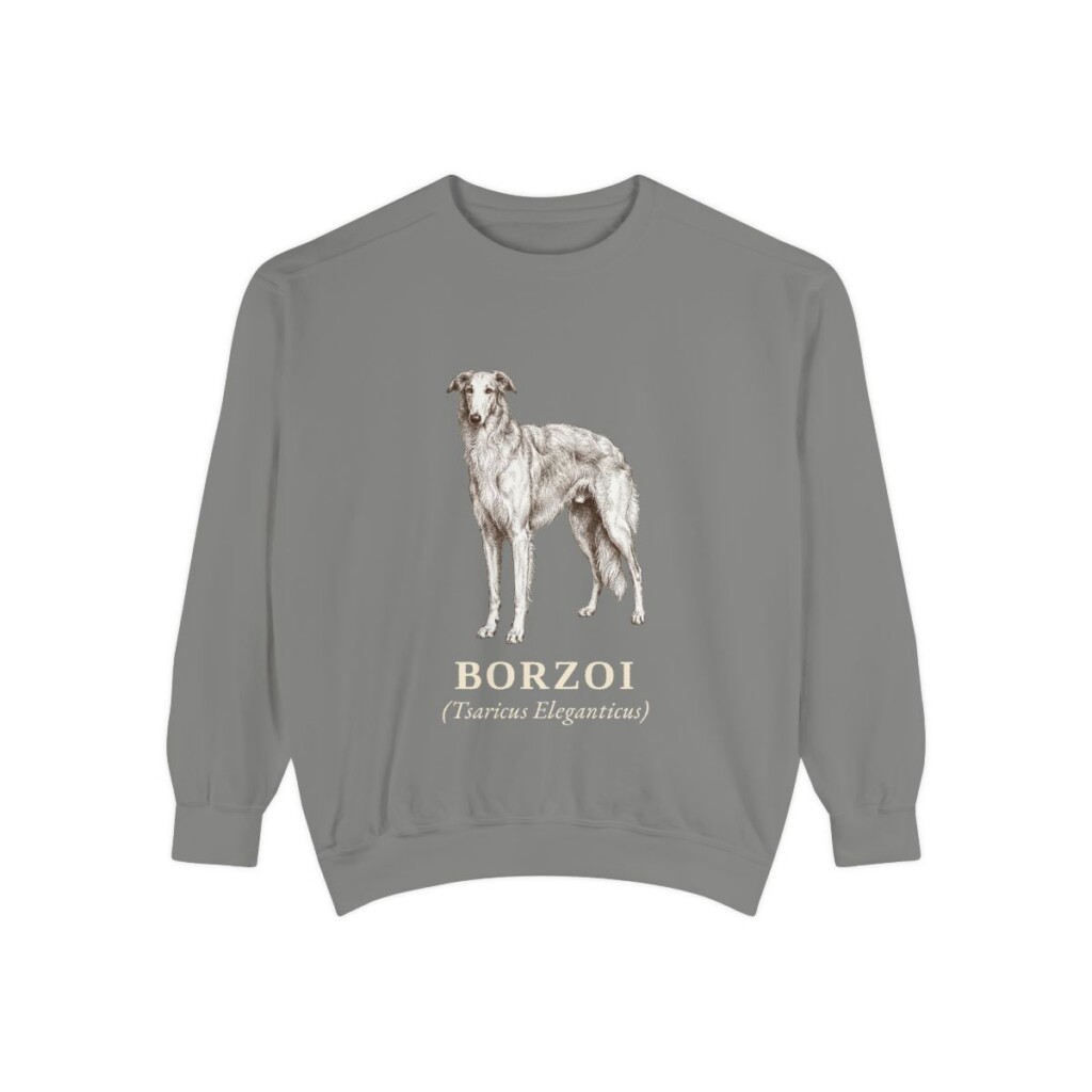 borzoi-sweatshirt-latin-grey Borzoi Latin Sweatshirt, Grey, front view
