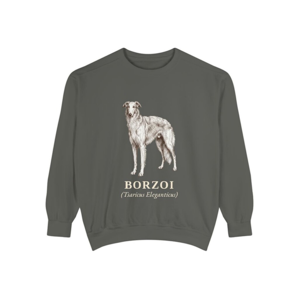 borzoi-sweatshirt-latin-pepper Borzoi Latin Sweatshirt, Pepper, front view