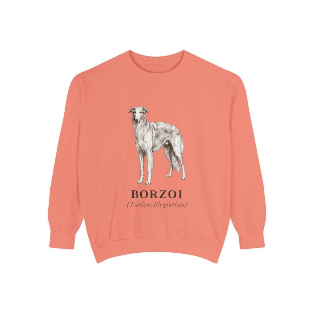 borzoi-sweatshirt-latin-terracotta Borzoi Latin Sweatshirt, Terracotta, front view