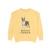 Boston Terrier Sweatshirt, Butter, front view