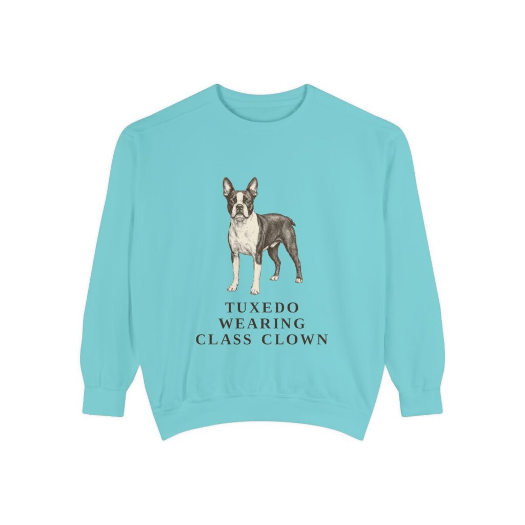 boston-terrier-sweatshirt-humor-chalky-mint Boston Terrier Humor Sweatshirt, Chalky Mint, front view