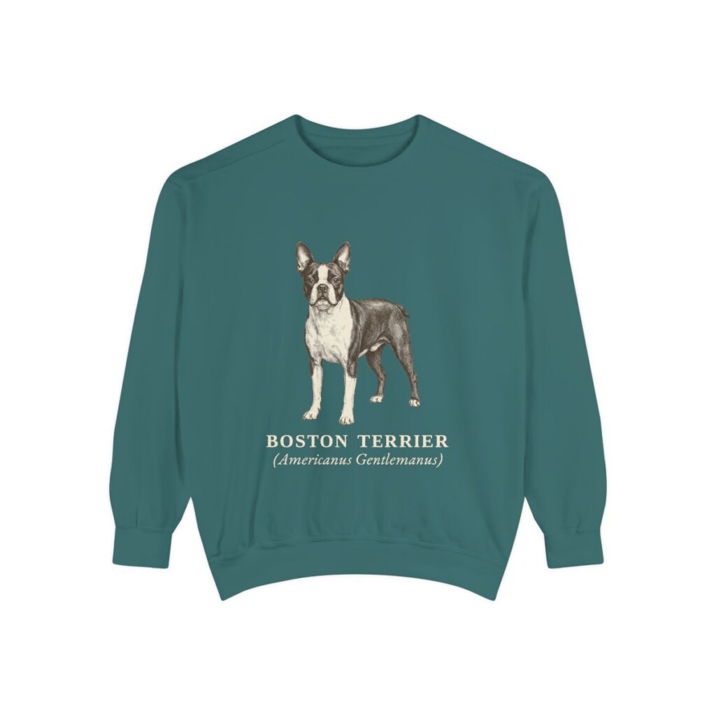 Boston Terrier Latin Sweatshirt, Blue Spruce, front view