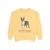 Boston Terrier Latin Sweatshirt, Butter, front view