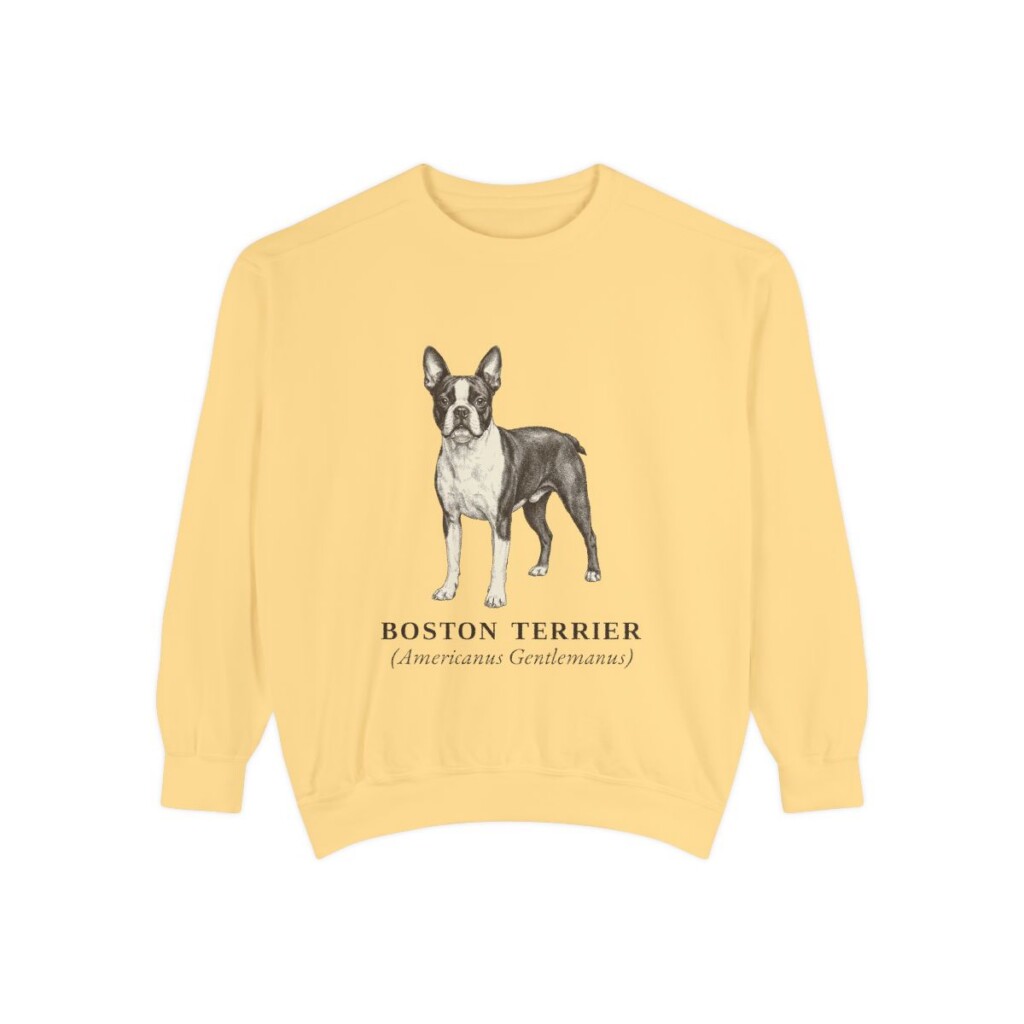 Boston Terrier Latin Sweatshirt, Butter, front view