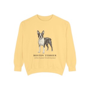 Boston Terrier Latin Sweatshirt, Butter, front view