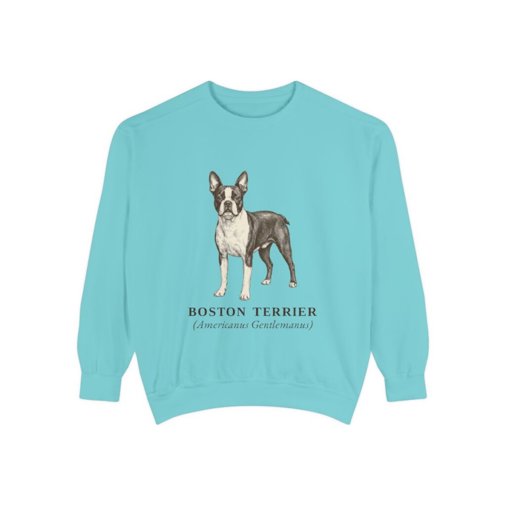 Boston Terrier Latin Sweatshirt, Chalky Mint, front view