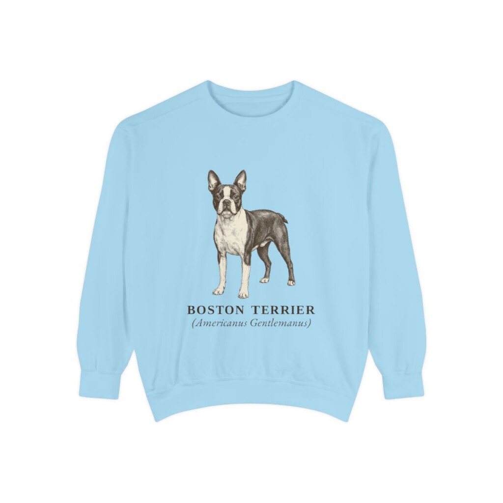Boston Terrier Latin Sweatshirt, Chambray, front view