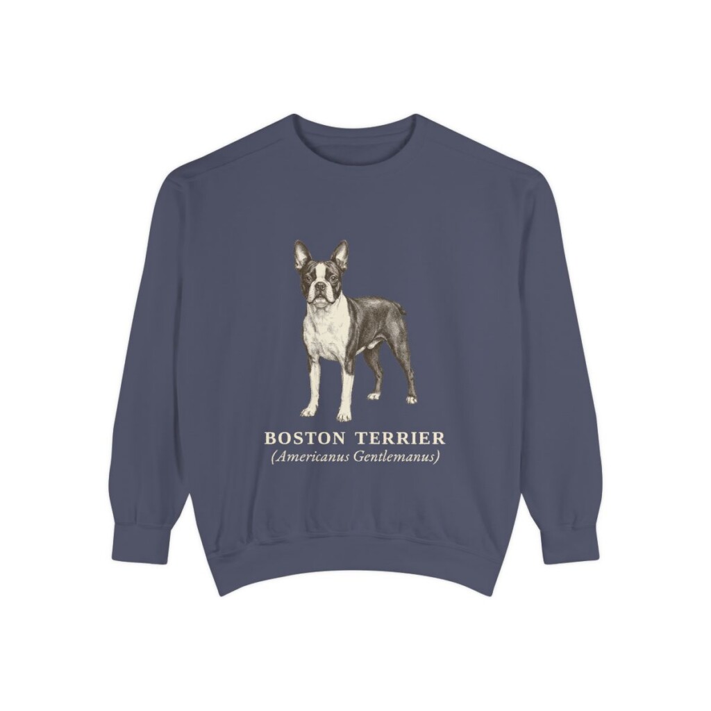 Boston Terrier Latin Sweatshirt, Denim, front view