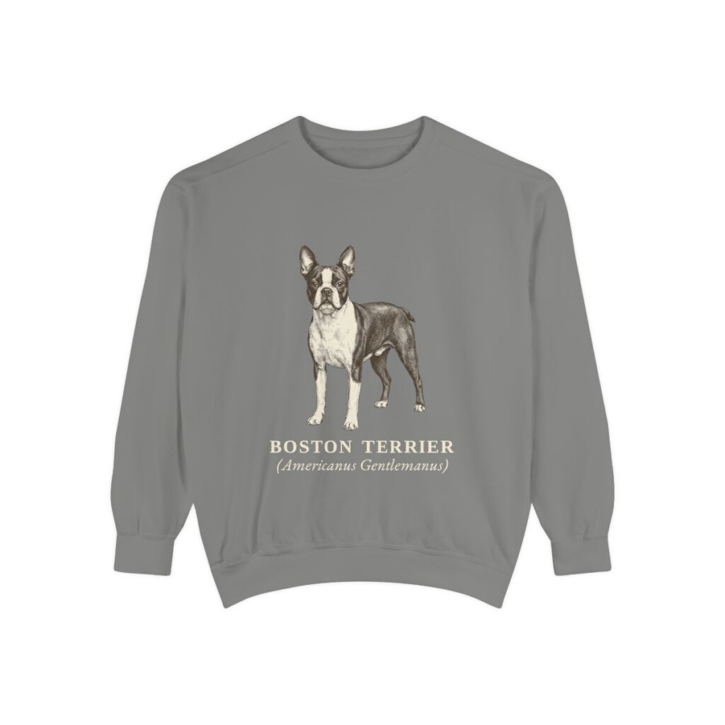 Boston Terrier Latin Sweatshirt, Grey, front view