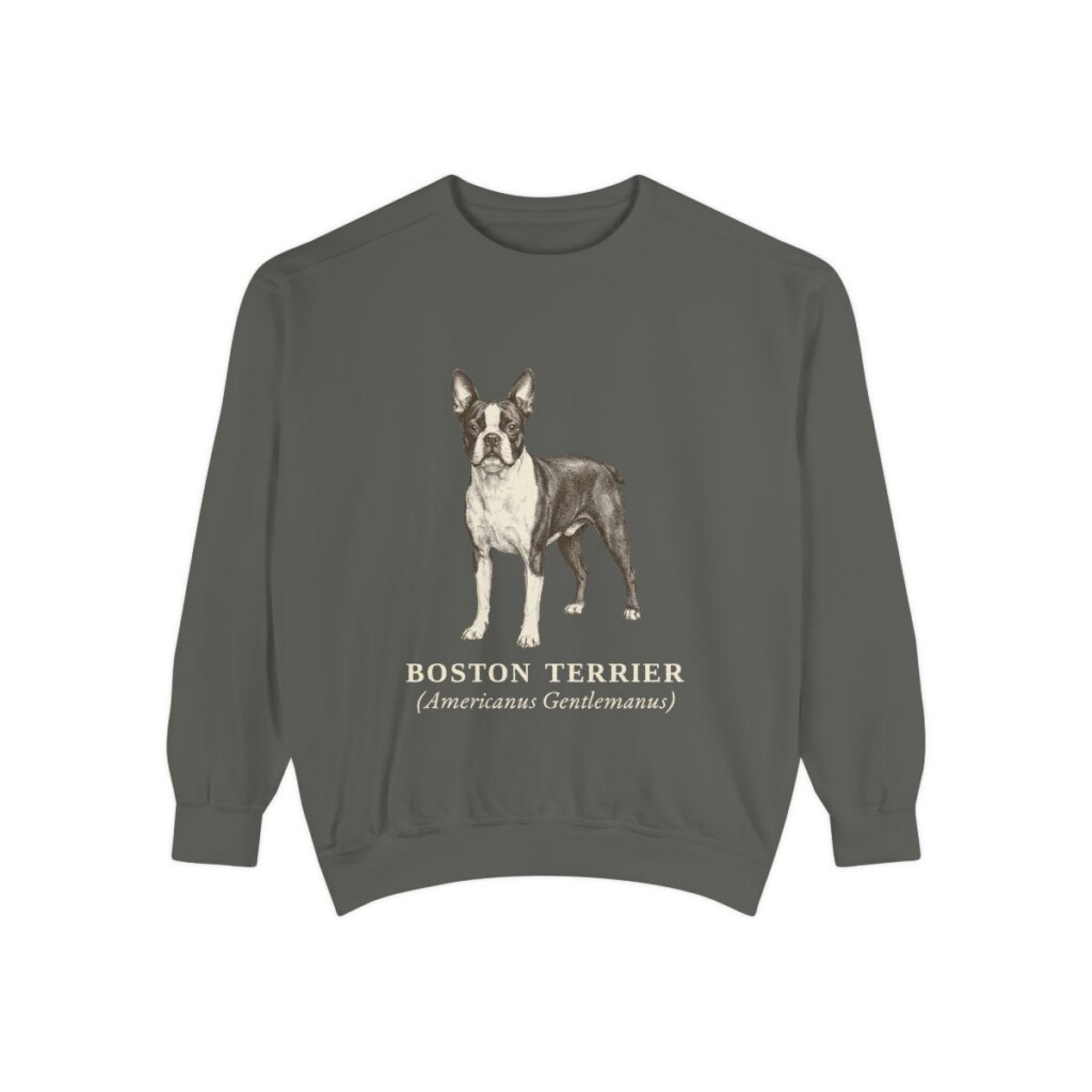 Boston Terrier Latin Sweatshirt, Pepper, front view