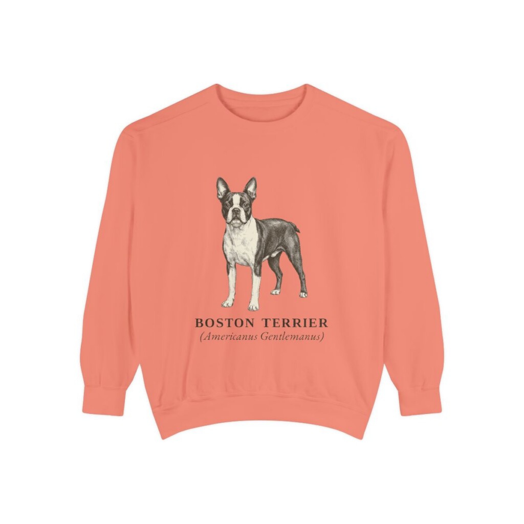 Boston Terrier Latin Sweatshirt, Terracotta, front view