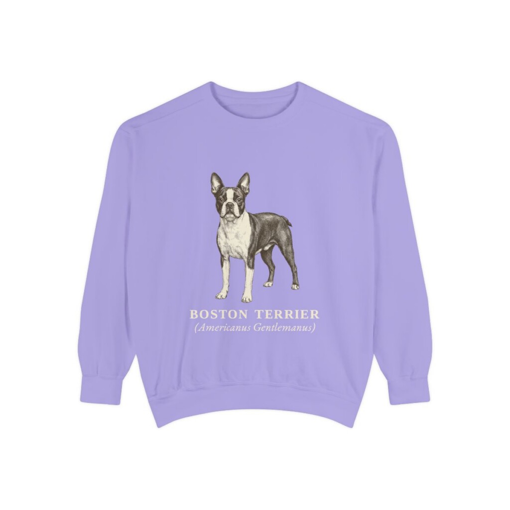 Boston Terrier Latin Sweatshirt, Violet, front view