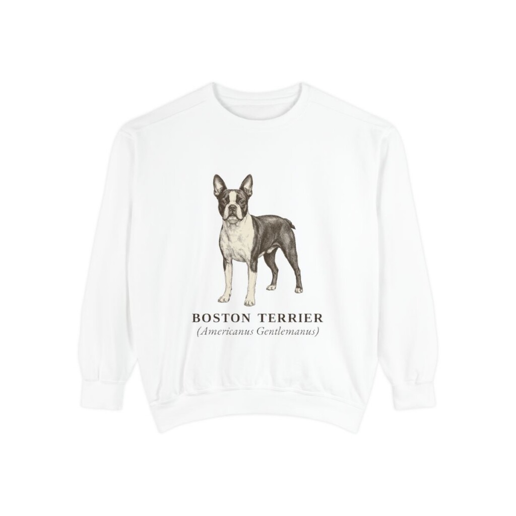 Boston Terrier Latin Sweatshirt, White, front view