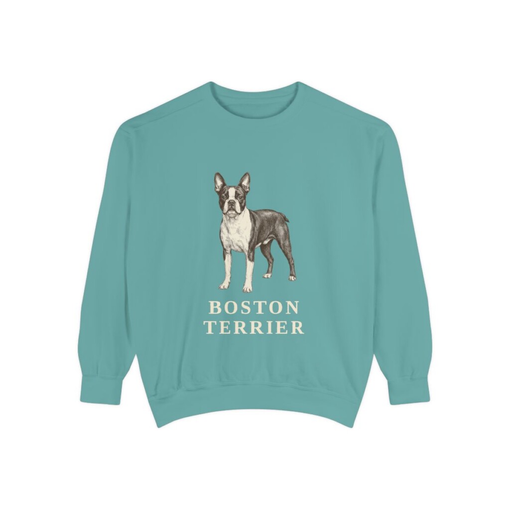 Boston Terrier Sweatshirt, Seafoam, front view