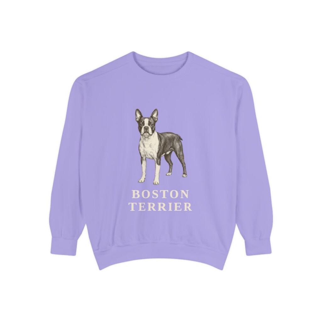 Boston Terrier Sweatshirt, Violet, front view