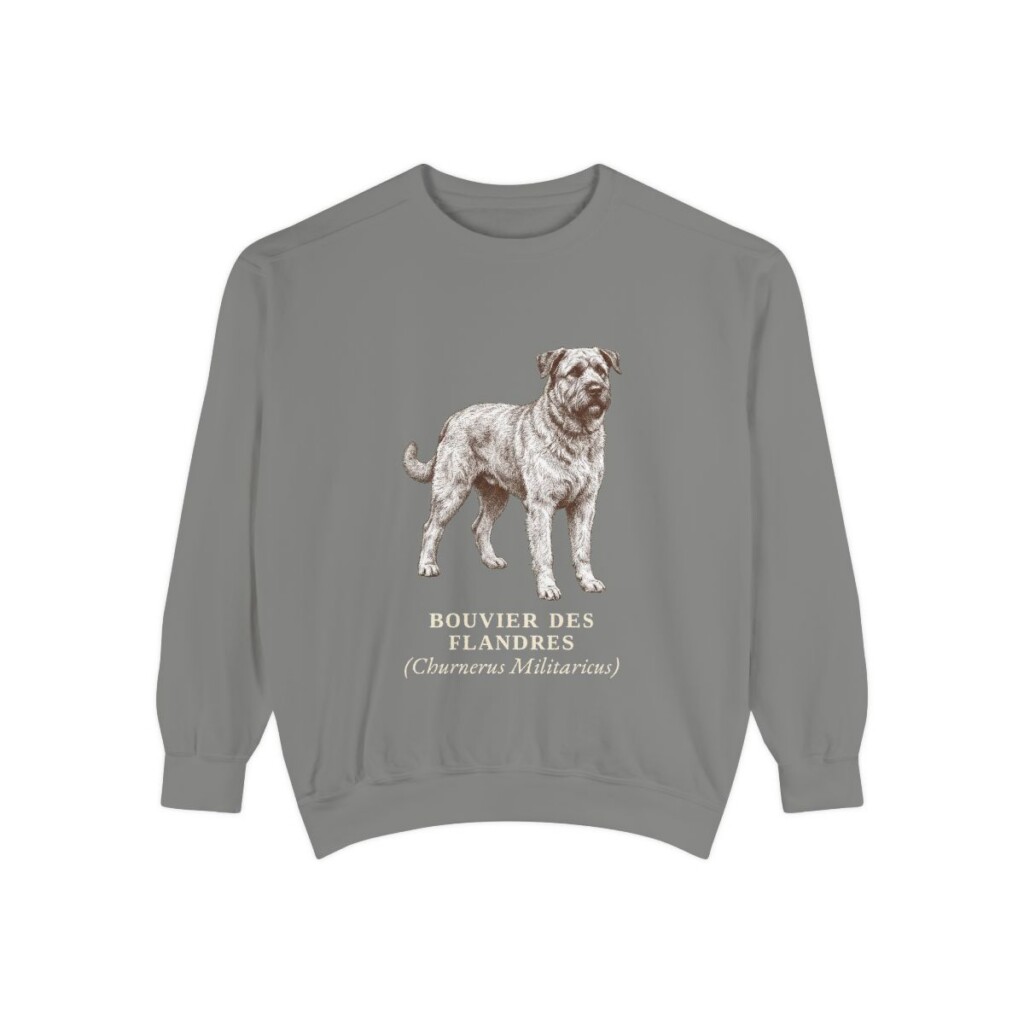 bouvier-des-flandres-sweatshirt-latin-grey Bouvier des Flandres Latin Sweatshirt, Grey, front view
