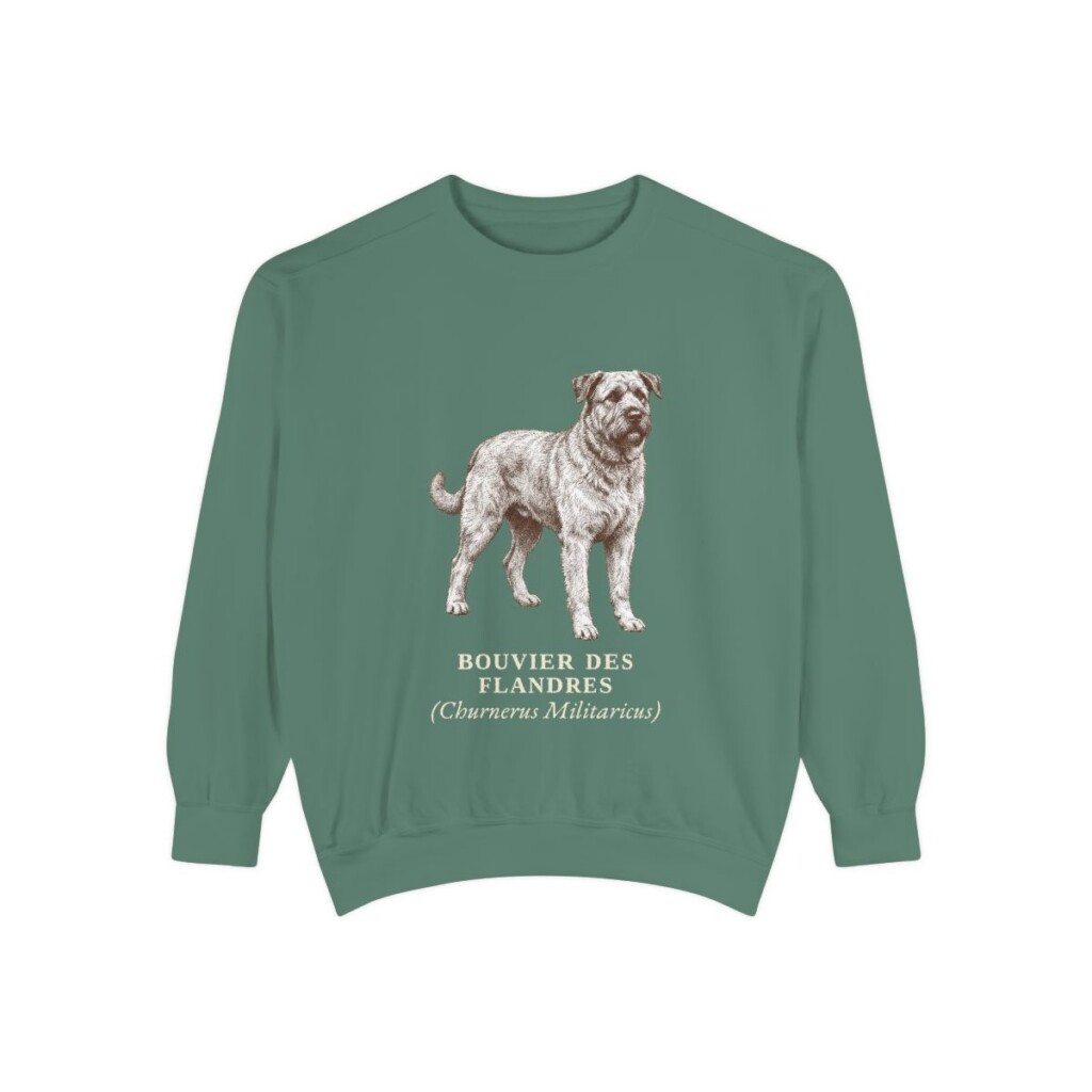 bouvier-des-flandres-sweatshirt-latin-light-green Bouvier des Flandres Latin Sweatshirt, Light Green, front view