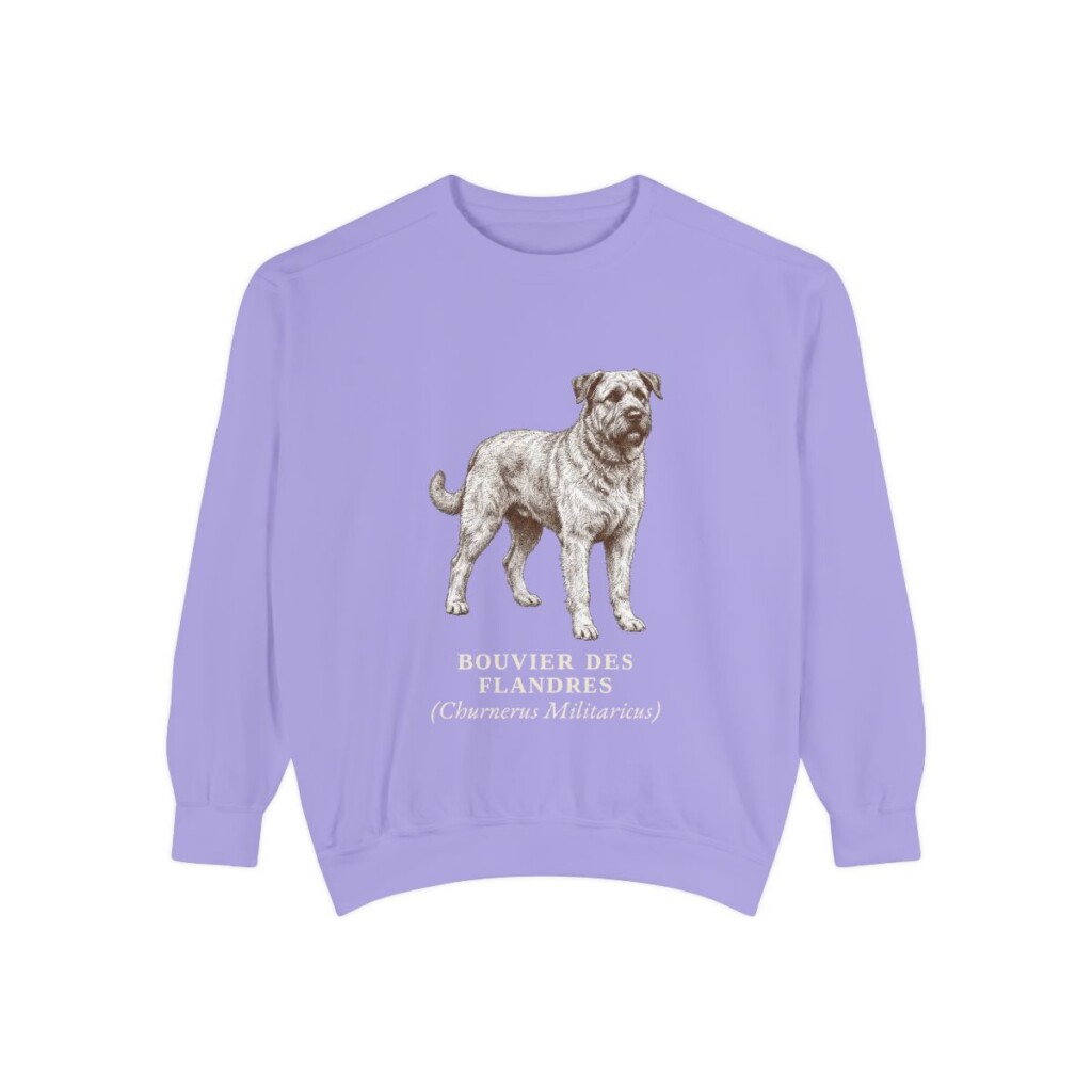 bouvier-des-flandres-sweatshirt-latin-violet Bouvier des Flandres Latin Sweatshirt, Violet, front view
