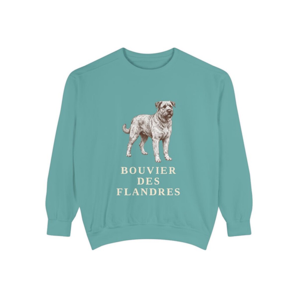 Bouvier des Flandres Sweatshirt, Seafoam, front view