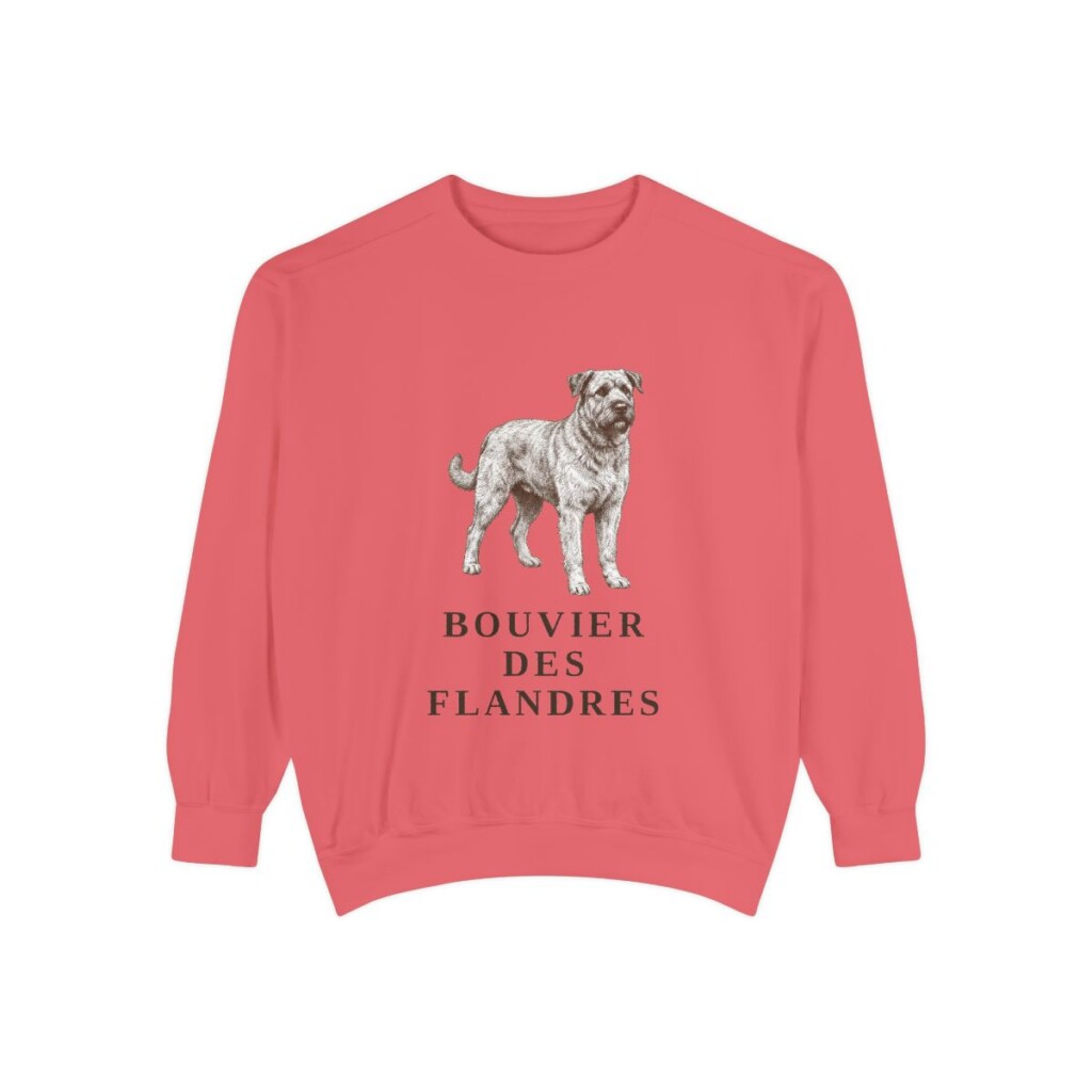 Bouvier des Flandres Sweatshirt, Watermelon, front view