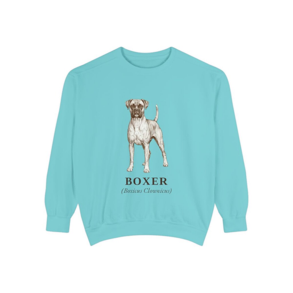 Boxer Latin Sweatshirt, Chalky Mint, front view