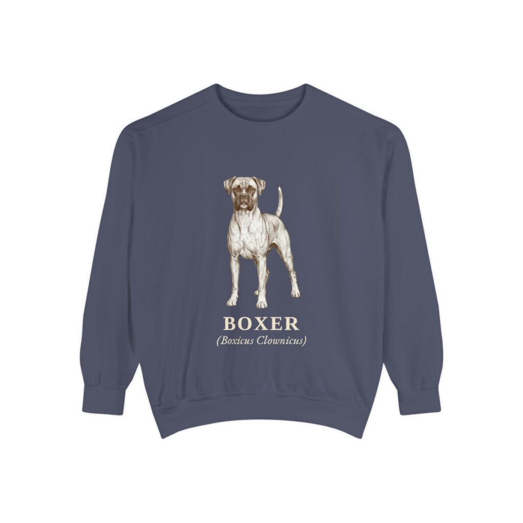 Boxer Latin Sweatshirt, Denim, front view