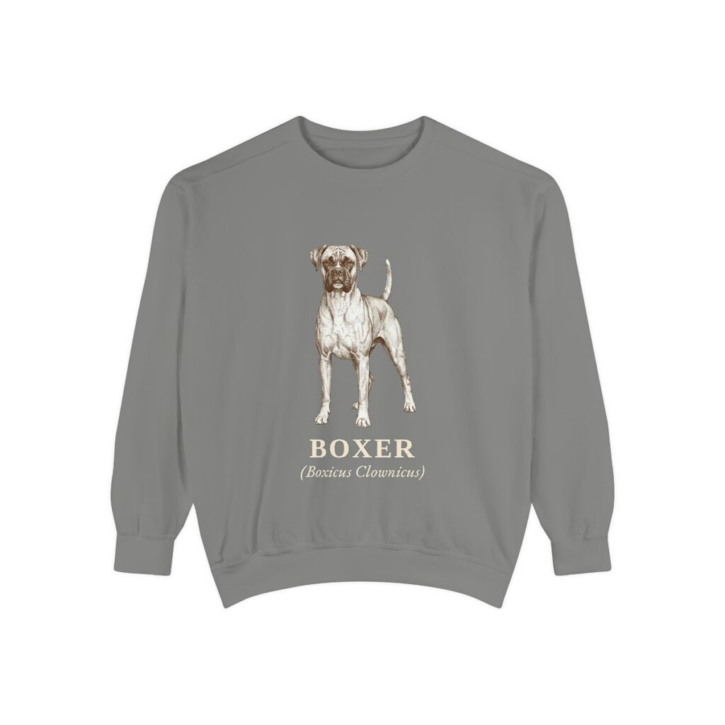 Boxer Latin Sweatshirt, Grey, front view