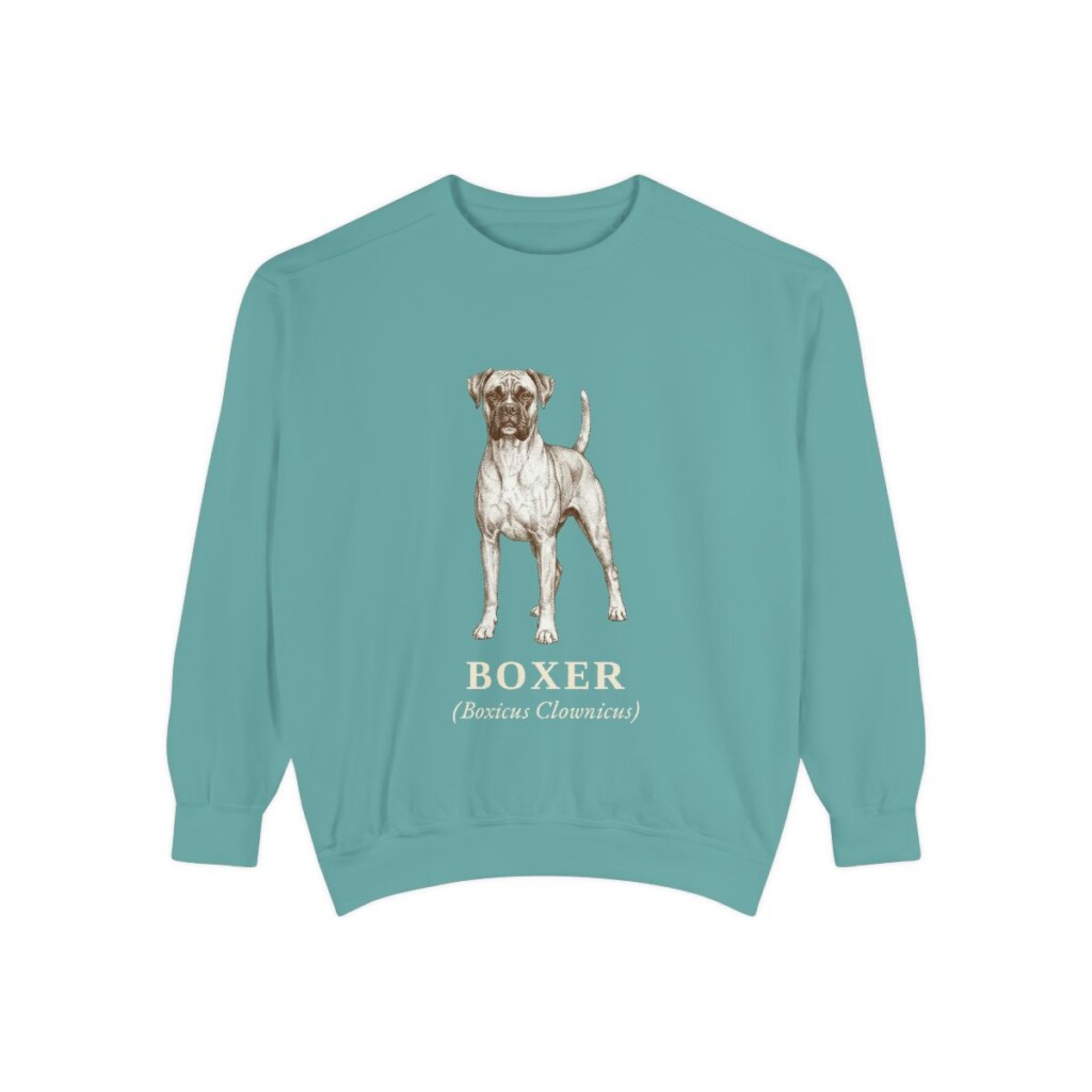 Boxer Latin Sweatshirt, Seafoam, front view