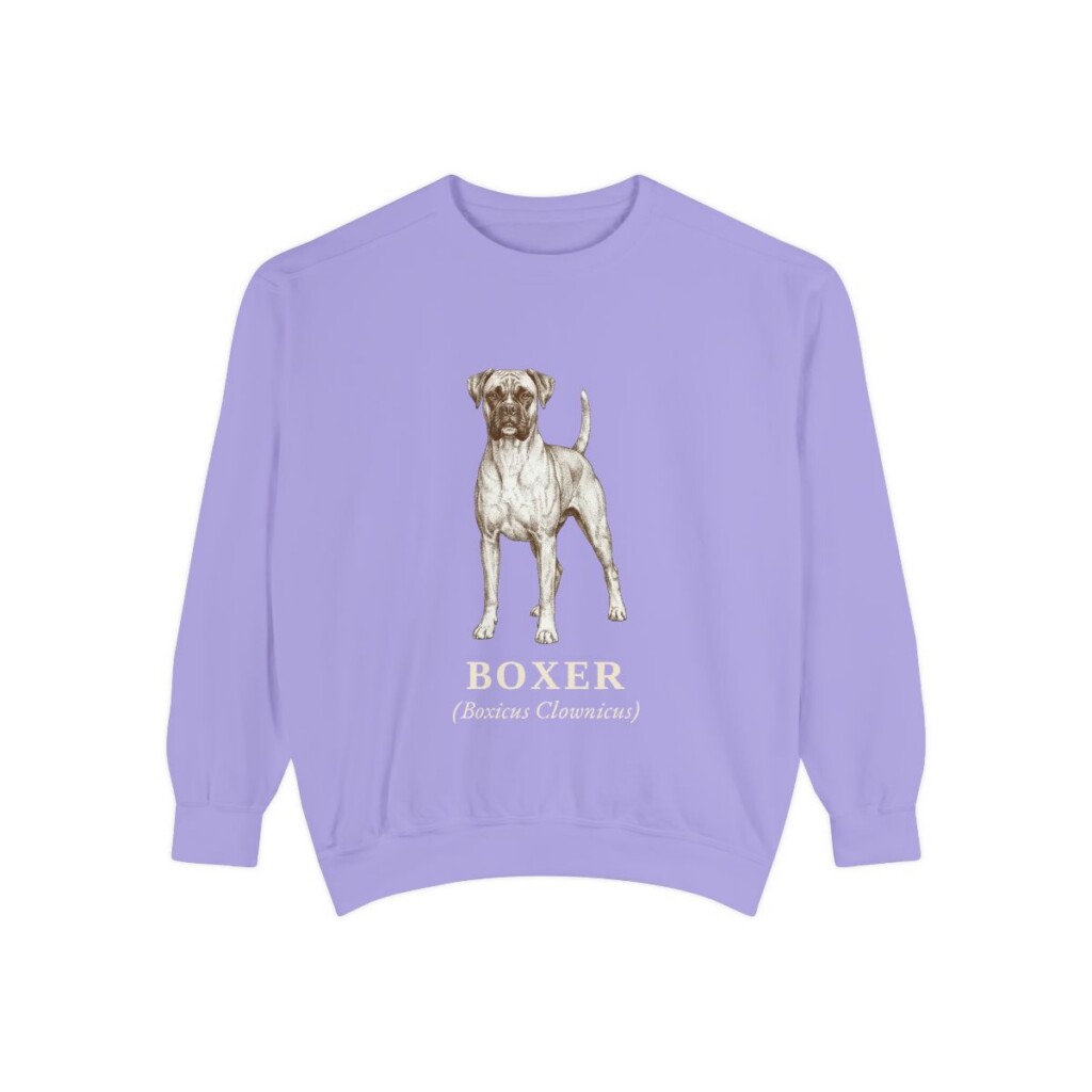 Boxer Latin Sweatshirt, Violet, front view