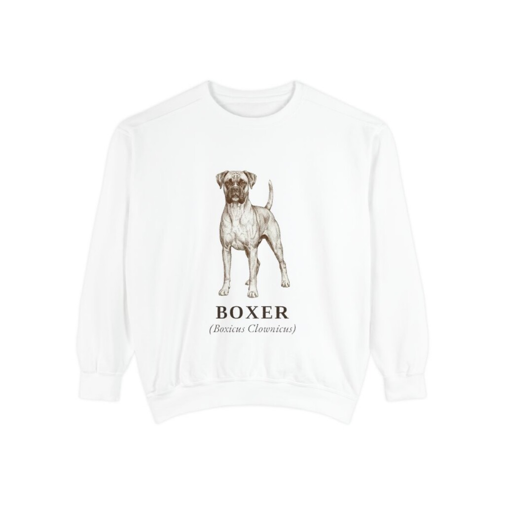 Boxer Latin Sweatshirt, White, front view