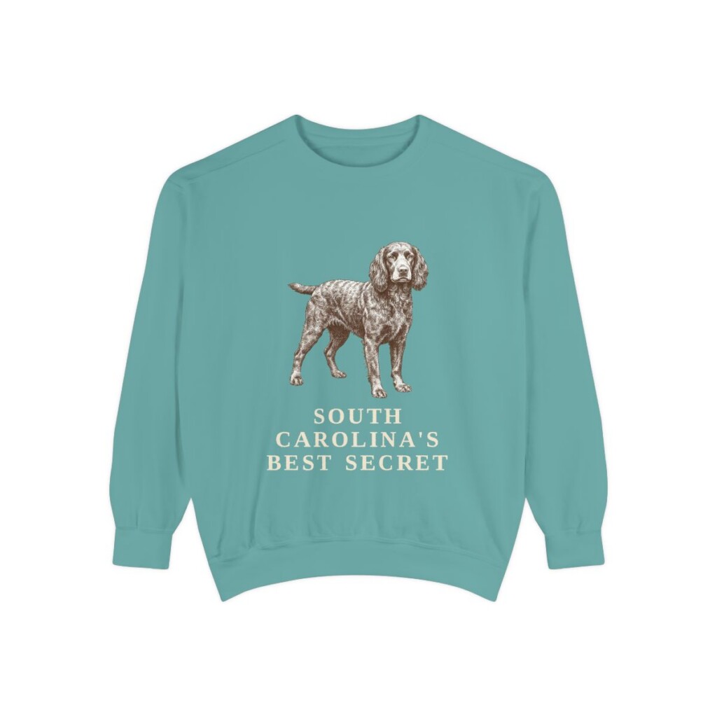 Boykin Spaniel Humor Sweatshirt, Seafoam, front view