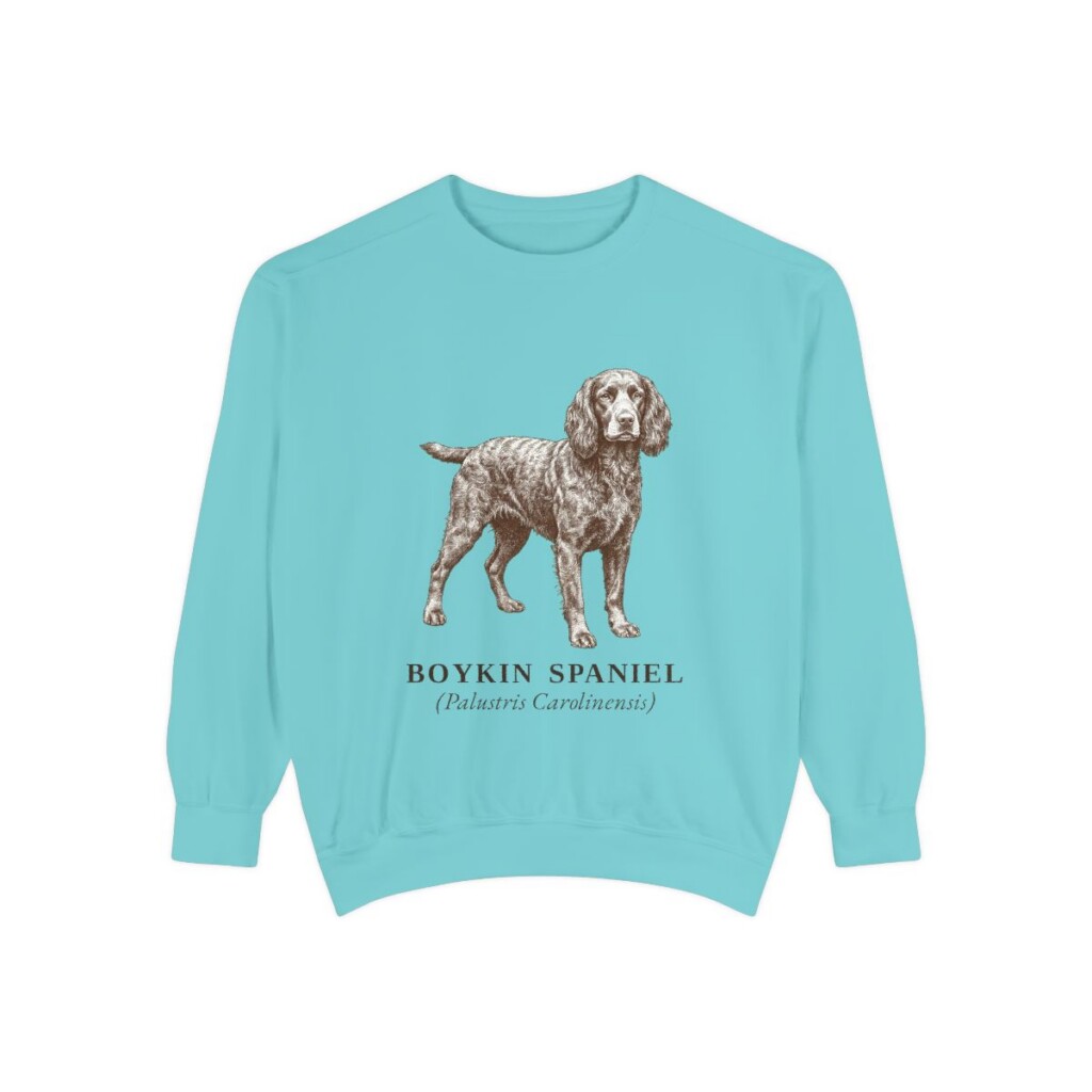 boykin-spaniel-sweatshirt-latin-chalky-mint Boykin Spaniel Latin Sweatshirt, Chalky Mint, front view