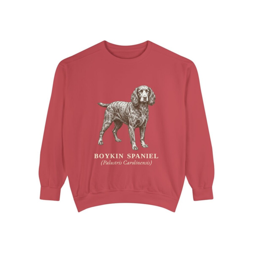 boykin-spaniel-sweatshirt-latin-crimson Boykin Spaniel Latin Sweatshirt, Crimson, front view
