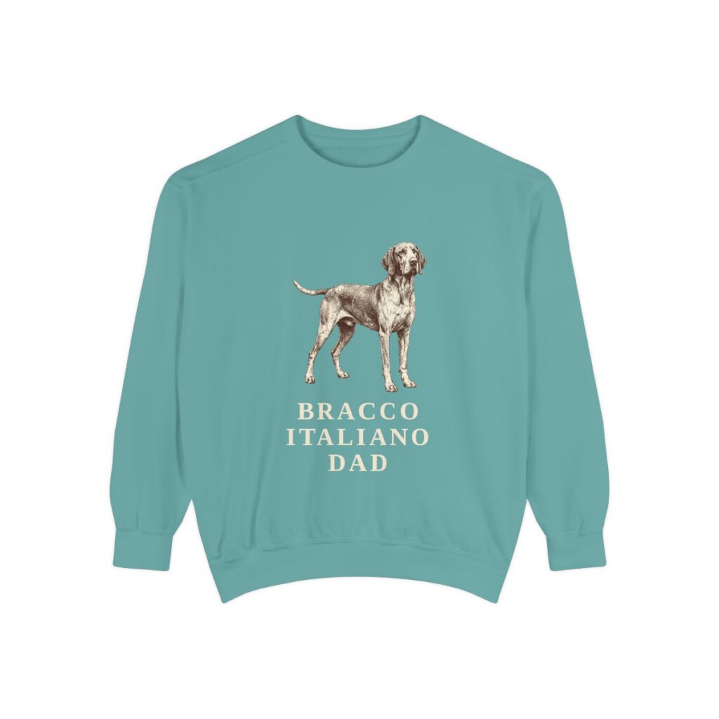 Bracco Italiano Dad Sweatshirt, Seafoam, front view