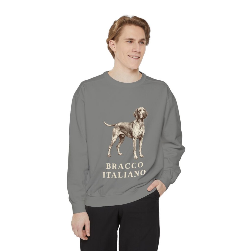 bracco-italiano-sweatshirt-grey-person-1-front Bracco Italiano Sweatshirt, Grey, person 1 front