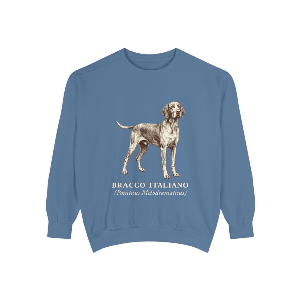 Bracco Italiano Latin Sweatshirt, Blue Jean, front view