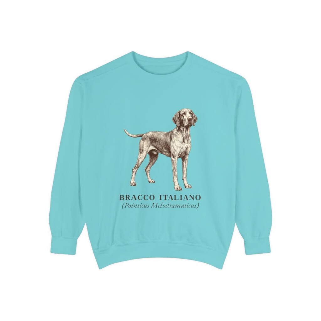 Bracco Italiano Latin Sweatshirt, Chalky Mint, front view