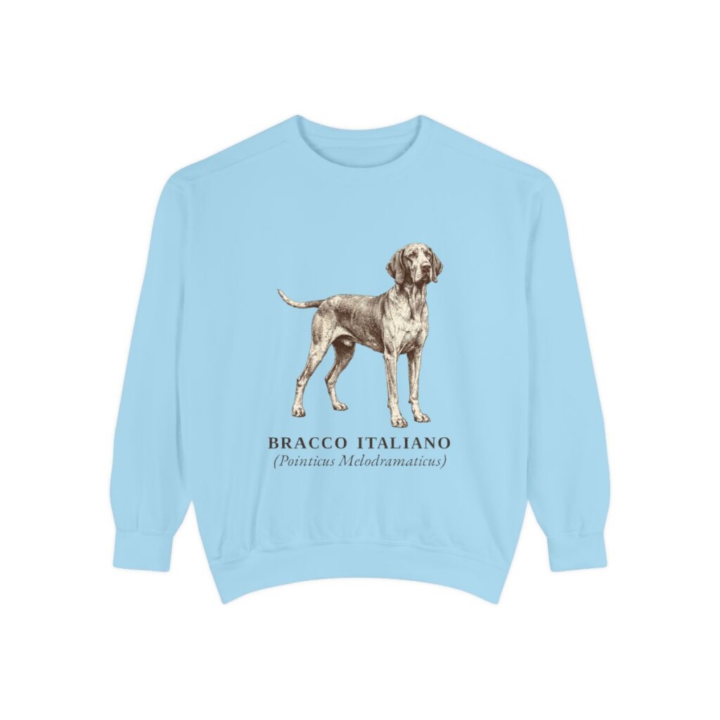 Bracco Italiano Latin Sweatshirt, Chambray, front view