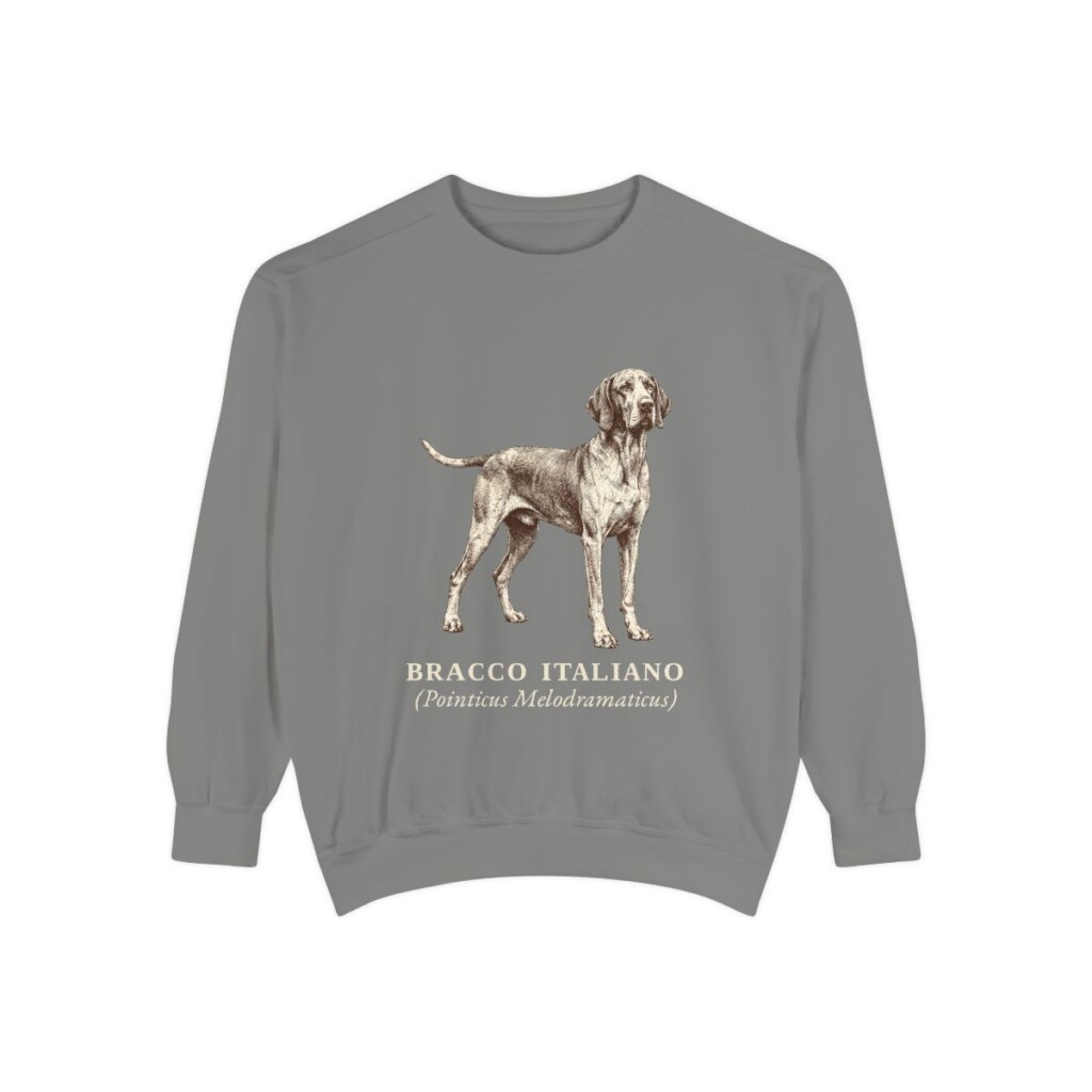Bracco Italiano Latin Sweatshirt, Grey, front view