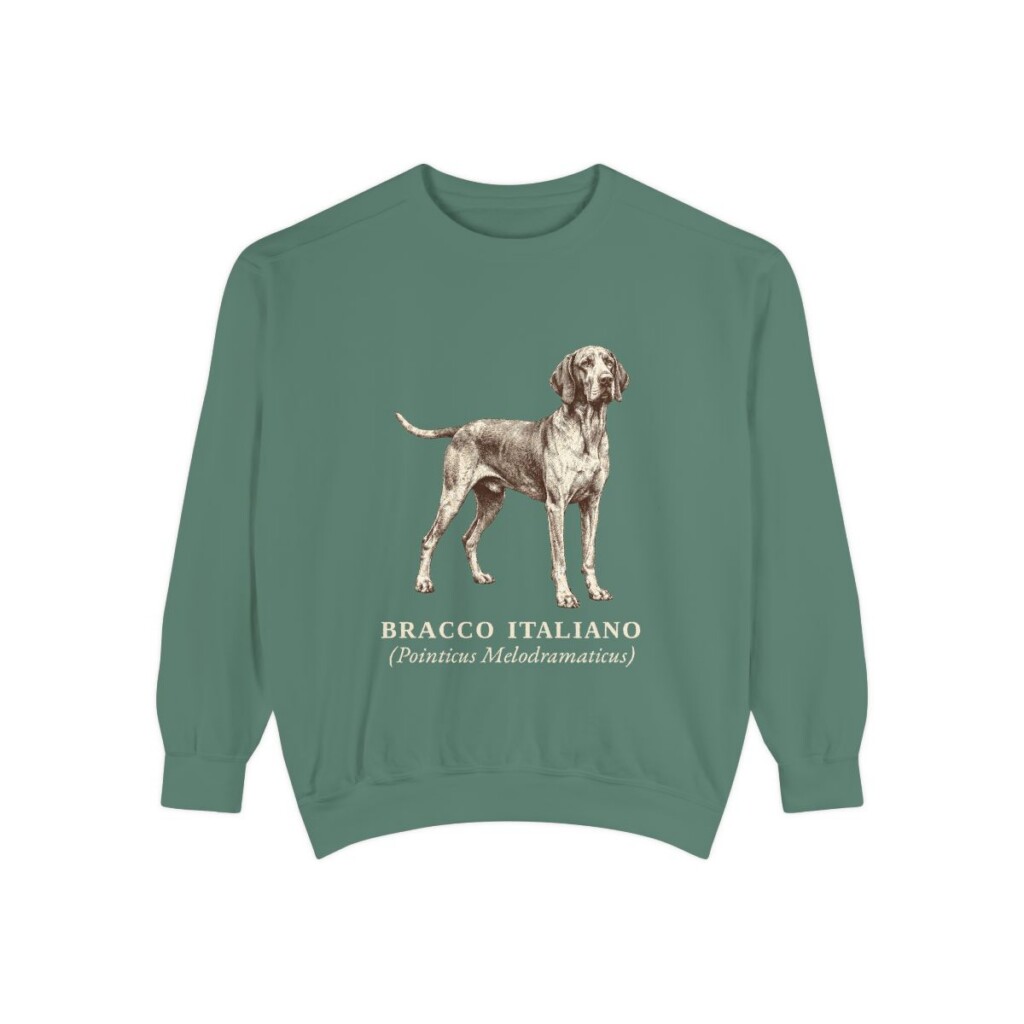 Bracco Italiano Latin Sweatshirt, Light Green, front view
