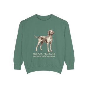 Bracco Italiano Latin Sweatshirt, Light Green, front view